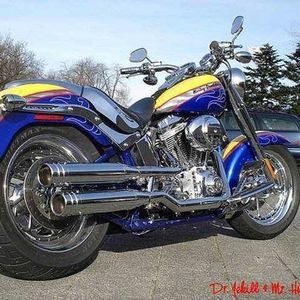 Meet your Posher, Harley